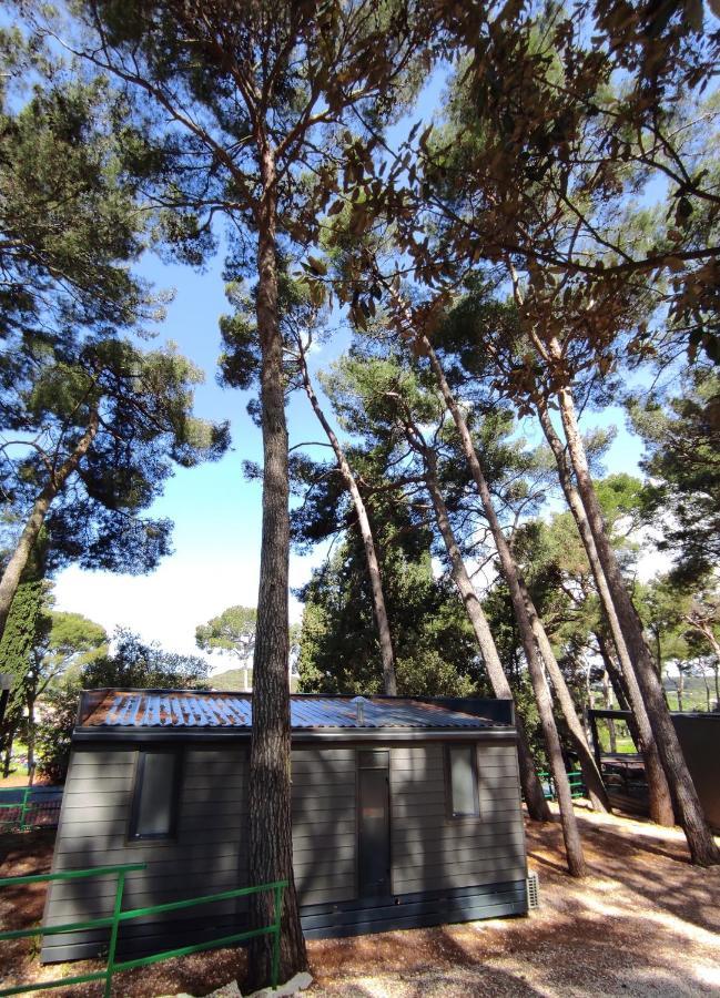 Mobile Home More Porton Nature Hideouts 로비니 외부 사진